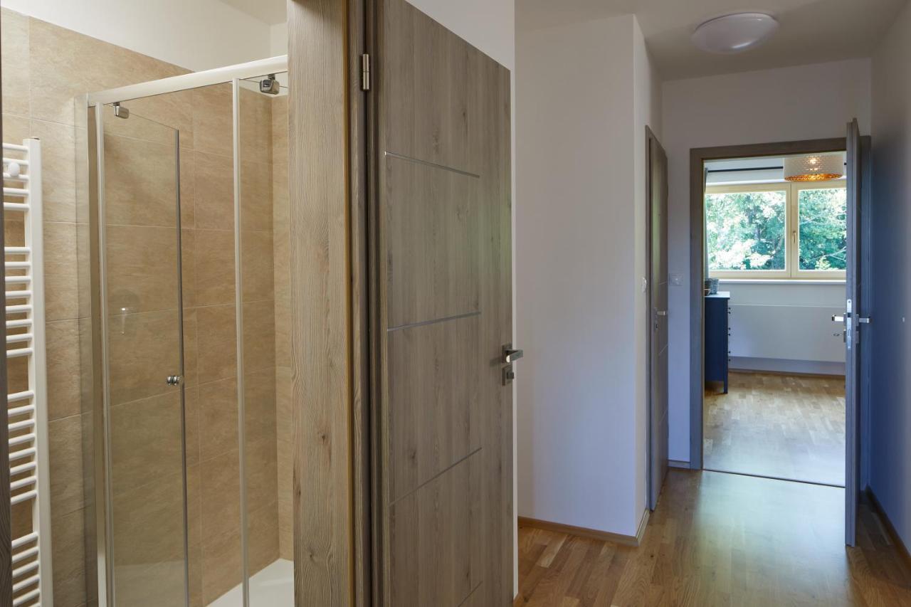 Lucni Apartman Tymiana تشيرني دول المظهر الخارجي الصورة